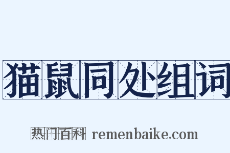 猫鼠同处组词是什么意思的图片